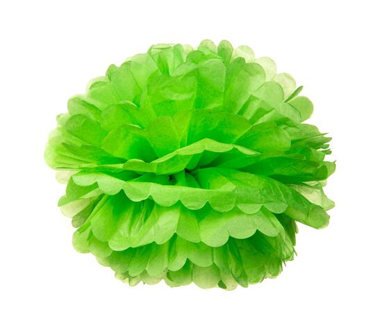 Бумажный пом-пон, зеленый 25 см., изображение 3 ᐒ купить на  ❤ Like7km.com.ua