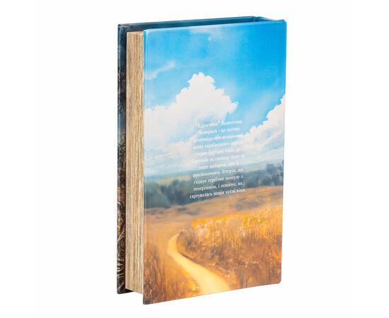 Книга-сейф "Сквозь века", изображение 3 ᐒ купить на  ❤ Like7km.com.ua