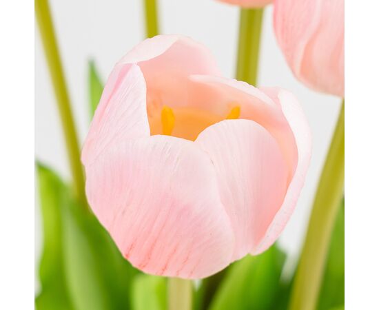 Букет латексных тюльпанов, 7 бутонов, нежно-розовый, 48 см, изображение 3 ᐒ купить на  ❤ Like7km.com.ua