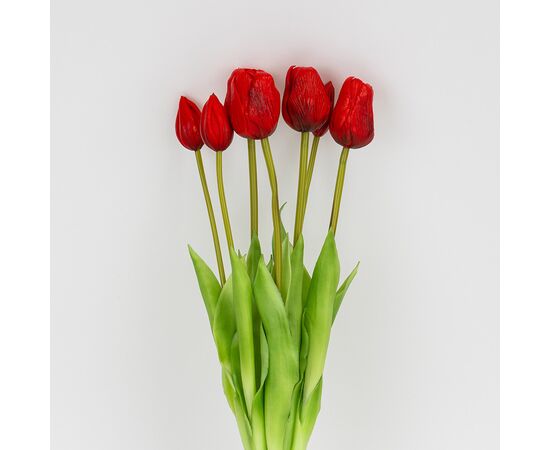 Букет латексных тюльпанов, 7 бутонов, красный, 48 см, изображение 2 ᐒ купить на  ❤ Like7km.com.ua