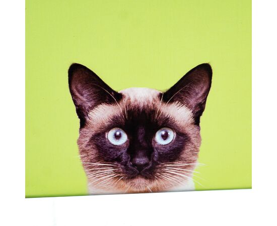 Набор коробок "Кошкин дом" 3шт, изображение 2 ᐒ купить на  ❤ Like7km.com.ua