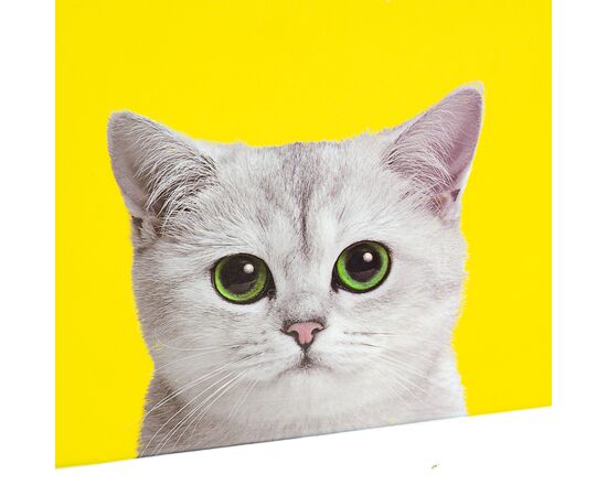 Набор коробок "Кошкин дом" 3шт, изображение 4 ᐒ купить на  ❤ Like7km.com.ua