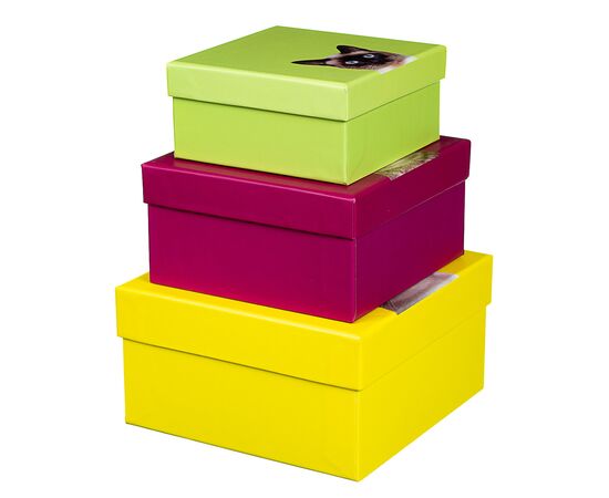 Набор коробок "Кошкин дом" 3шт, изображение 5 ᐒ купить на  ❤ Like7km.com.ua