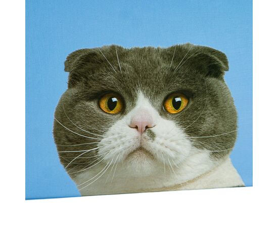 Набор коробок "Умиротворение" 3 шт, изображение 4 ᐒ купить на  ❤ Like7km.com.ua