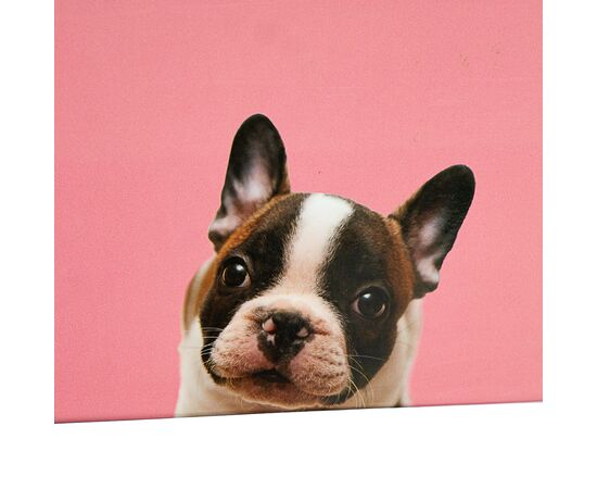 Набор коробок "Друг детства" 3 шт, изображение 3 ᐒ купить на  ❤ Like7km.com.ua