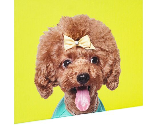 Набор коробок "Веселая компания" 3 шт, изображение 4 ᐒ купить на  ❤ Like7km.com.ua