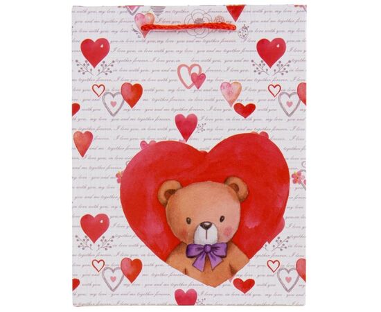 Подарочный пакет "Тедди", 18*23 см, изображение 3 ᐒ купить на  ❤ Like7km.com.ua