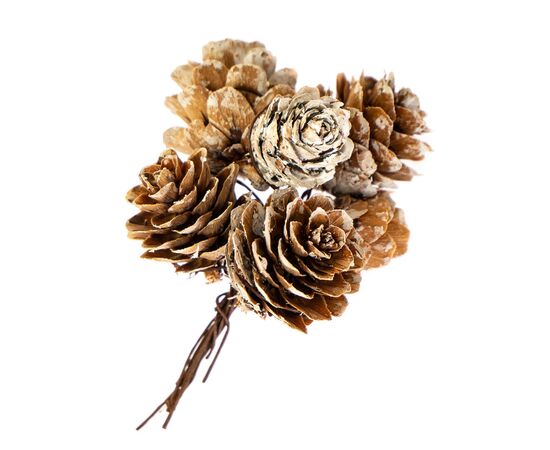 Декор "Белкины шишки", изображение 2 ᐒ купить на  ❤ Like7km.com.ua