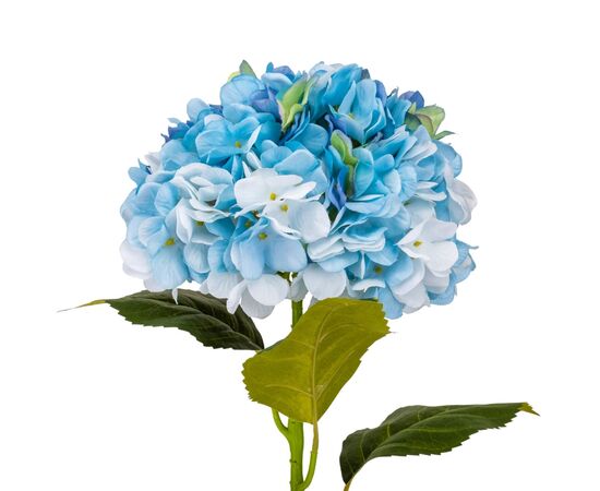 Гортензия "Анабель", голубая, 57 см, изображение 2 ᐒ купить на  ❤ Like7km.com.ua