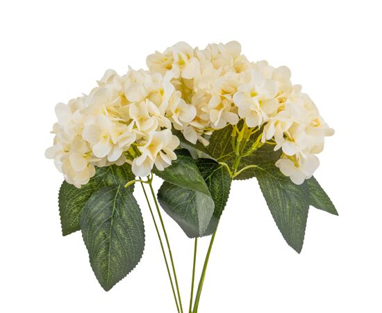 Букет гортензий, 5 бутонов, кремовый, 45 см, изображение 2 ᐒ купить на  ❤ Like7km.com.ua