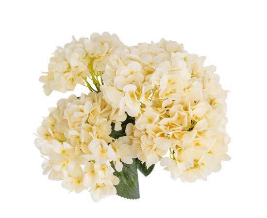Букет гортензий, 5 бутонов, кремовый, 45 см, изображение 3 ᐒ купить на  ❤ Like7km.com.ua
