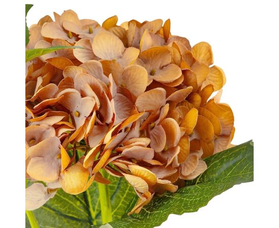 Букет "Гортензия крупнолистная" охра, изображение 3 ᐒ купить на  ❤ Like7km.com.ua