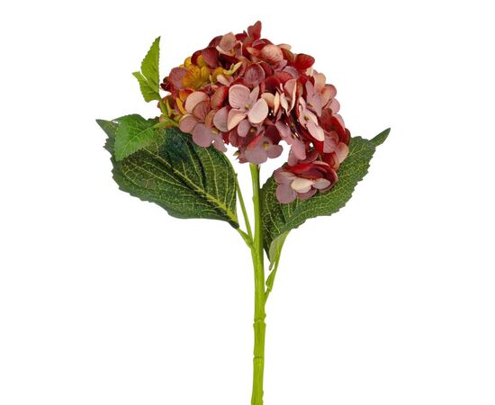 Букет "Гортензия крупнолистная" бордо, изображение 2 ᐒ купить на  ❤ Like7km.com.ua