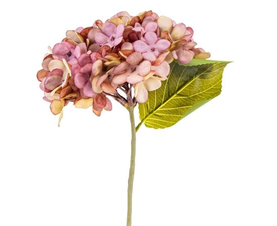 Цветы "Гортензия пастельная", изображение 2 ᐒ купить на  ❤ Like7km.com.ua
