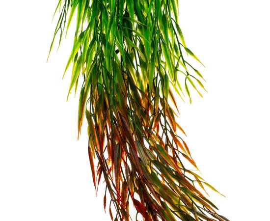 Искусственная ампельная ветвь, зелено-коричневая, 92 см, изображение 3 ᐒ купить на  ❤ Like7km.com.ua