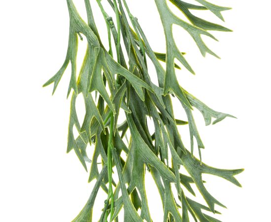 Искусственная ампельная ветвь, зеленая, 80 см, изображение 2 ᐒ купить на  ❤ Like7km.com.ua