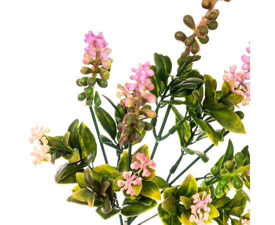 Цветок Аконит розовый, изображение 2 ᐒ купить на  ❤ Like7km.com.ua