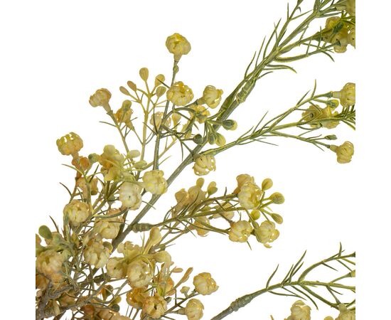 Ветка сухоцвета полевого жёлтая, изображение 3 ᐒ купить на  ❤ Like7km.com.ua