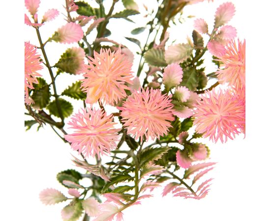 Букет Астры, розовый, изображение 2 ᐒ купить на  ❤ Like7km.com.ua