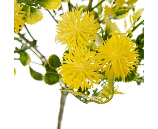 Букет Астры, желтый, изображение 2 ᐒ купить на  ❤ Like7km.com.ua