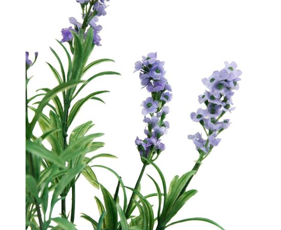 Лаванда (38 см), изображение 3 ᐒ купить на  ❤ Like7km.com.ua