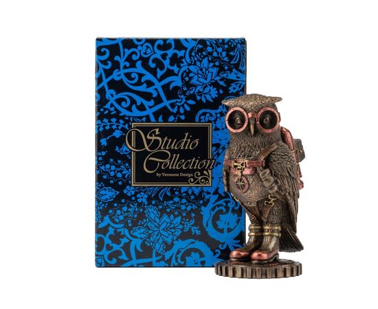 Статуэтка "Сова Стимпанк" (15.5 см) VERONESE, изображение 3 ᐒ купить на  ❤ Like7km.com.ua