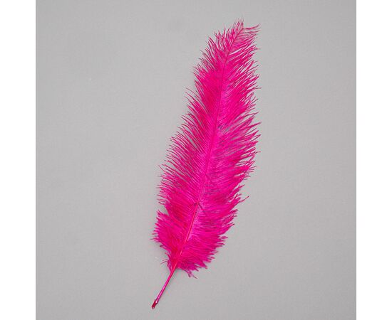 Страусиное перо 25-30 см ярко-фиолетовый, изображение 2 ᐒ купить на  ❤ Like7km.com.ua