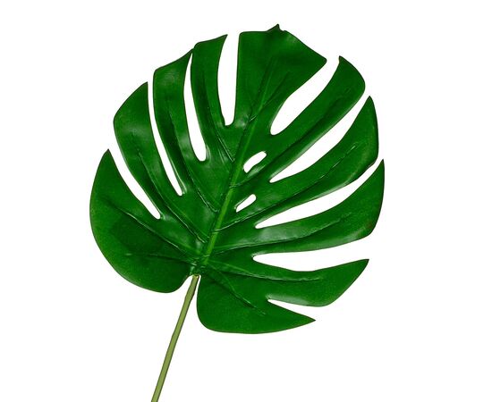 Лист монстеры 57 см, изображение 2 ᐒ купить на  ❤ Like7km.com.ua