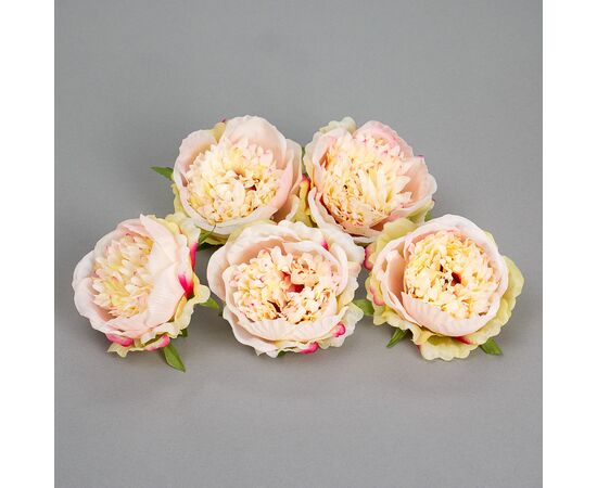 Головка пиона 6 см. *рандомный выбор цвета, изображение 5 ᐒ купить на  ❤ Like7km.com.ua