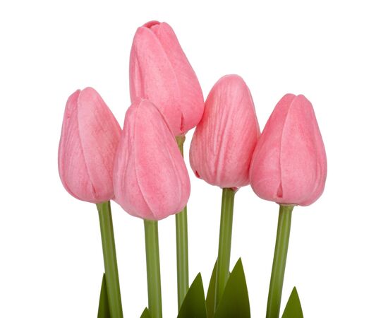 Букет тюльпанов "Рапсодия", розовый, 25,5 см, изображение 2 ᐒ купить на  ❤ Like7km.com.ua