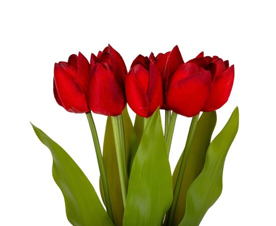 Букет тюльпанов "Красочность", красный, 40 см, изображение 2 ᐒ купить на  ❤ Like7km.com.ua