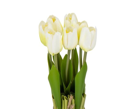 Букет тюльпанов 25см, белый, изображение 3 ᐒ купить на  ❤ Like7km.com.ua