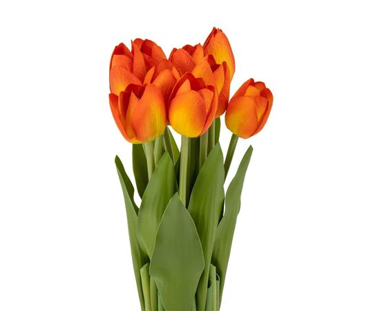 Букет тюльпанов 29 см, оранжевый, изображение 2 ᐒ купить на  ❤ Like7km.com.ua