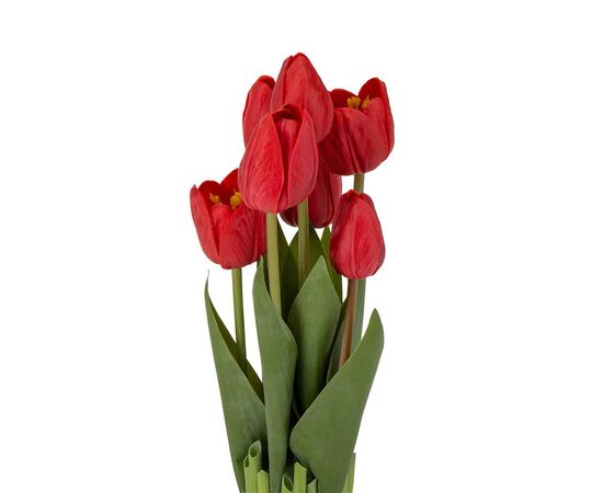 Букет тюльпанов 32 см, красный, изображение 2 ᐒ купить на  ❤ Like7km.com.ua