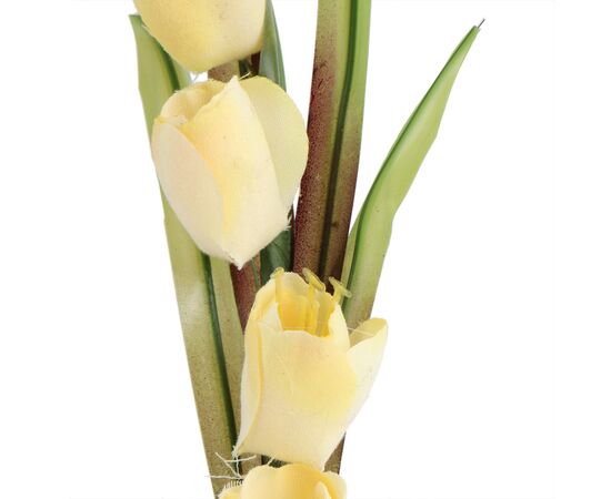 Тюльпаны "Обаяние", желтые, 35 см, изображение 2 ᐒ купить на  ❤ Like7km.com.ua