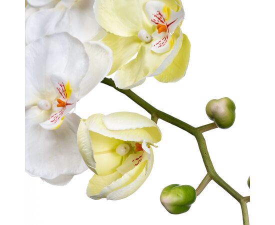 Орхидея белая 137 см, изображение 2 ᐒ купить на  ❤ Like7km.com.ua