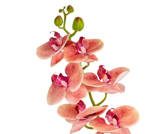 Искусственная орхидея, розовая, 75 см, изображение 3 ᐒ купить на  ❤ Like7km.com.ua