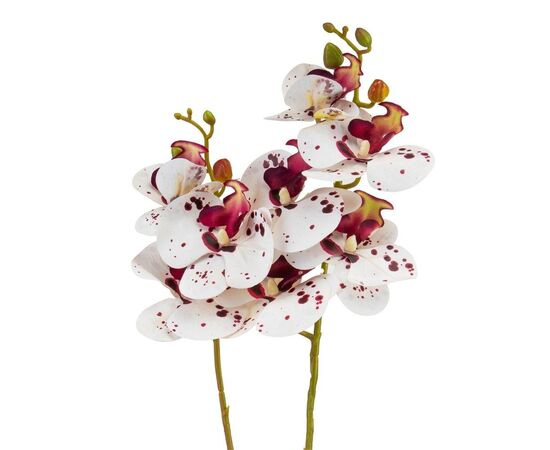 Орхидея 56 см. * Рандомный выбор дизайна, изображение 5 ᐒ купить на  ❤ Like7km.com.ua