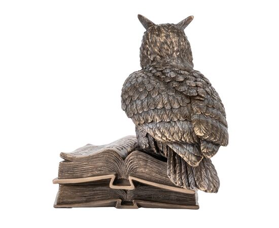 Статуетка "Сова" (17 см) VERONESE, изображение 3 ᐒ купить на  ❤ Like7km.com.ua