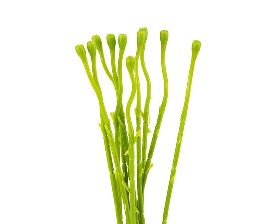 Флористическая основа "Стебель", 45 см, изображение 2 ᐒ купить на  ❤ Like7km.com.ua