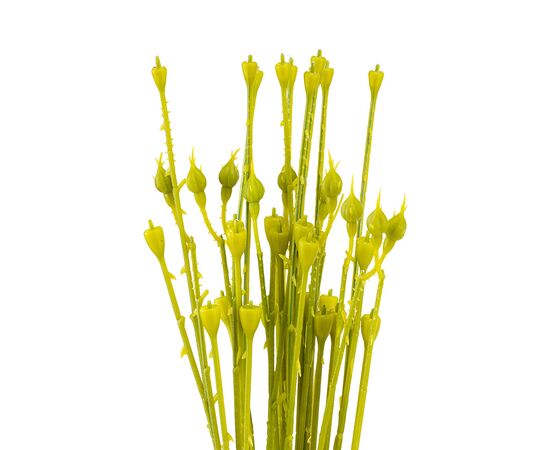 Флористическая основа "Стебель", 62 см, изображение 2 ᐒ купить на  ❤ Like7km.com.ua