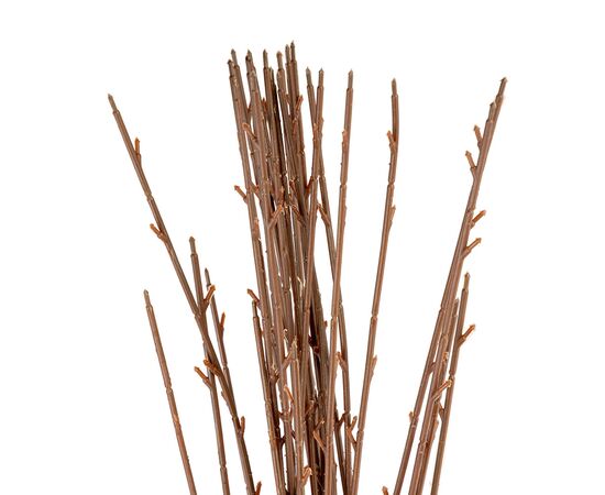 Флористическая основа "Ветка", 98 см, изображение 2 ᐒ купить на  ❤ Like7km.com.ua