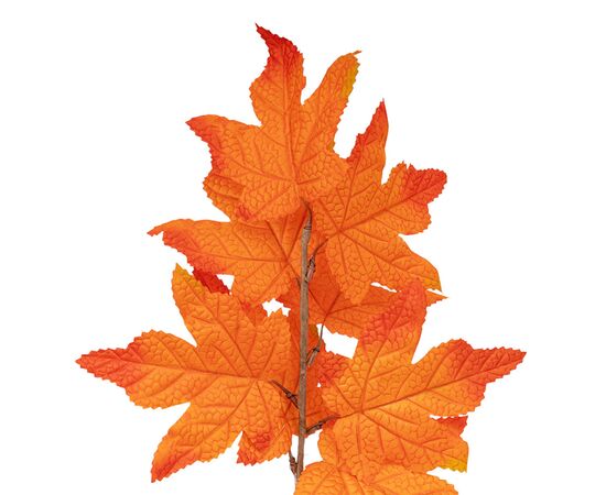 Искусственная ветвь "Осенний дубовый лист", 42 см, изображение 2 ᐒ купить на  ❤ Like7km.com.ua