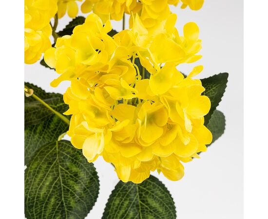 Букет гортензий, 5 бутонов, желтый, 44 см, изображение 4 ᐒ купить на  ❤ Like7km.com.ua