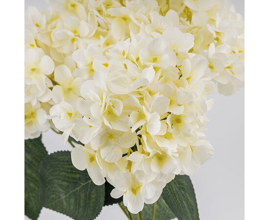 Букет гортензий, 5 бутонов, белый, 44 см, изображение 4 ᐒ купить на  ❤ Like7km.com.ua