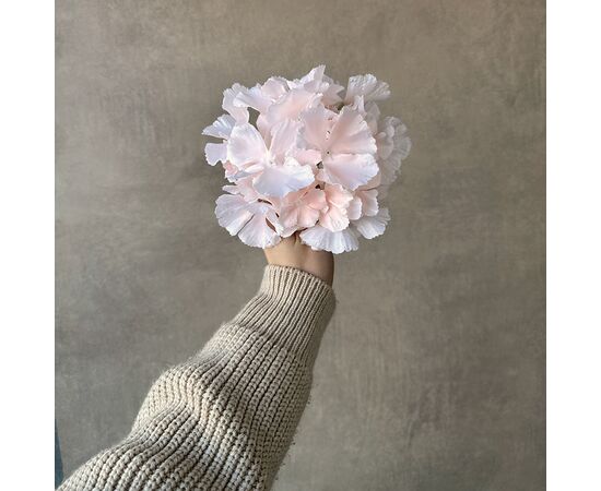 Головка гортензии, кремовая, 16 см, изображение 4 ᐒ купить на  ❤ Like7km.com.ua