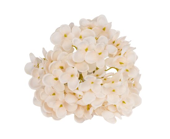 Головка гортензии мелкоцветная, кремовая, 14 см, изображение 2 ᐒ купить на  ❤ Like7km.com.ua