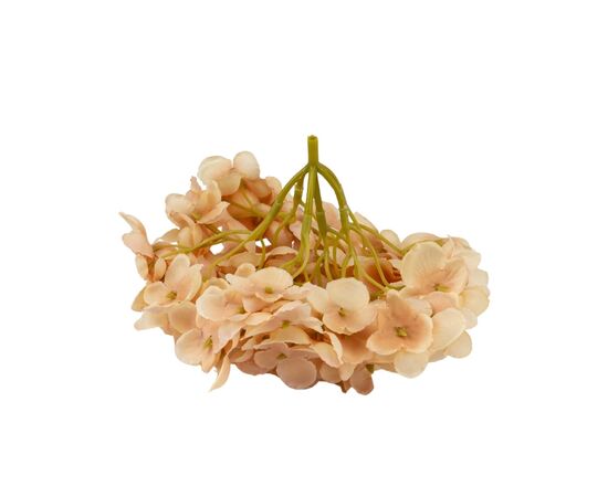 Головка гортензии мелкоцветная, бежевая, 14 см, изображение 3 ᐒ купить на  ❤ Like7km.com.ua