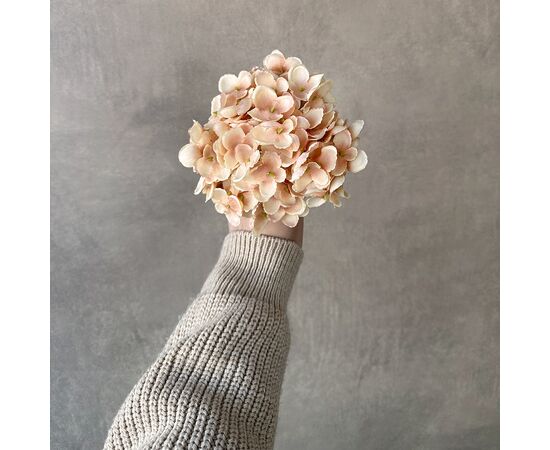 Головка гортензии мелкоцветная, бежевая, 14 см, изображение 4 ᐒ купить на  ❤ Like7km.com.ua