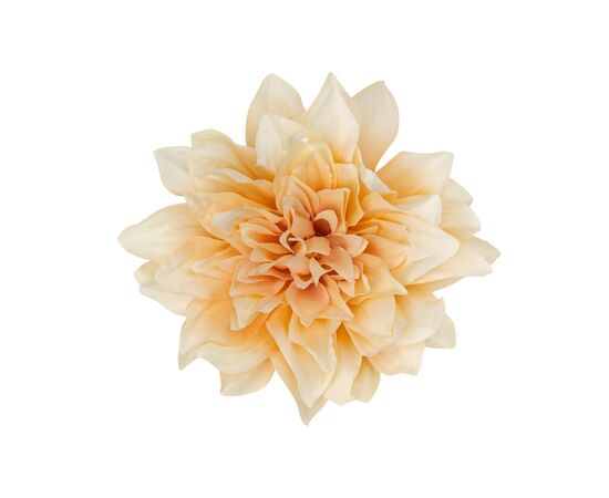 Головка георгина, бежевая, 15 см, изображение 2 ᐒ купить на  ❤ Like7km.com.ua